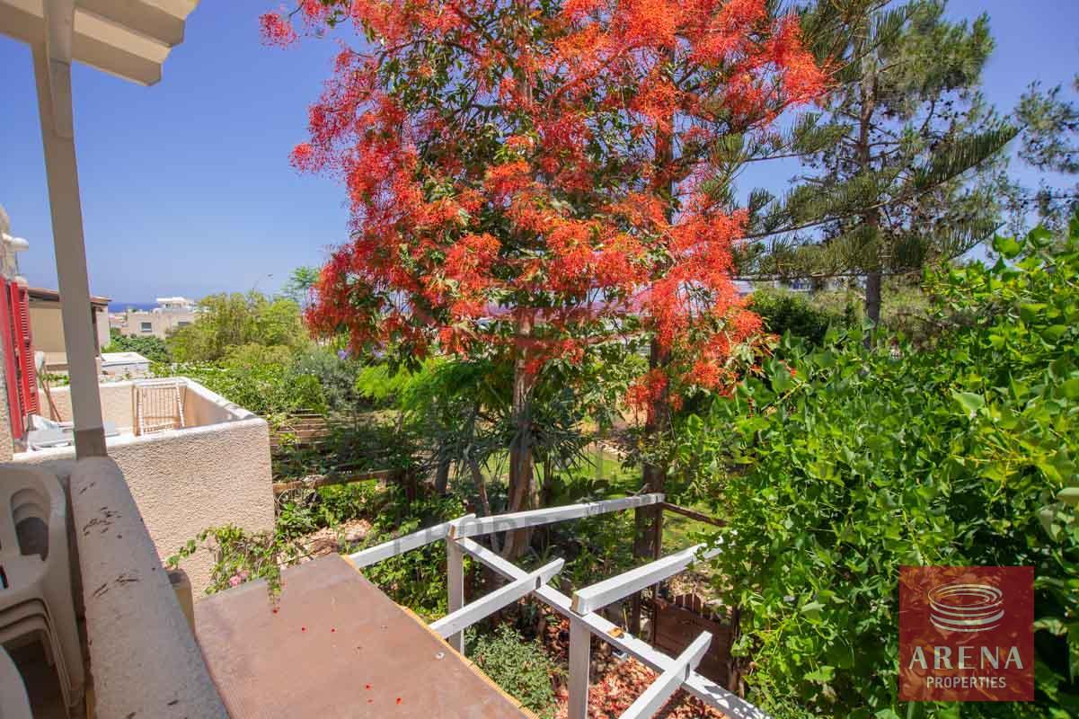 10-apartment-for-rent-in-paralimni-5686