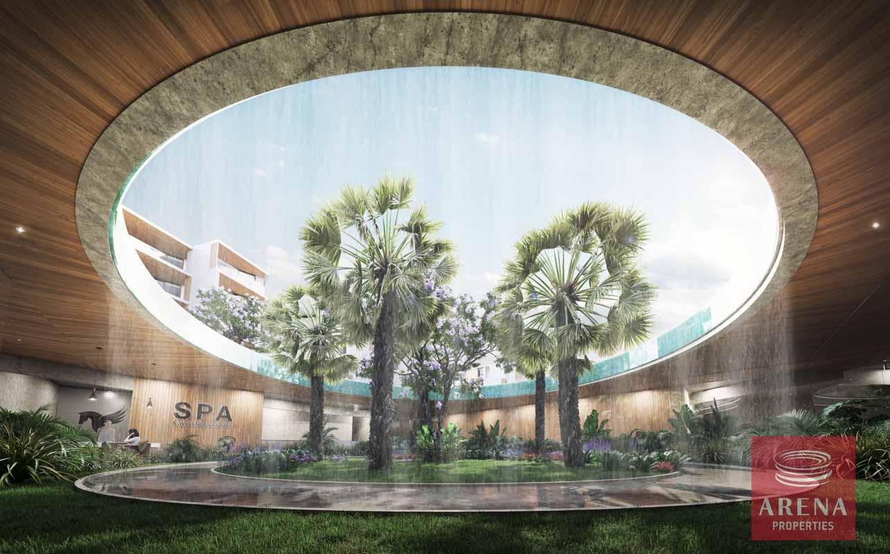 10-studio-in-Pyla-5814-4