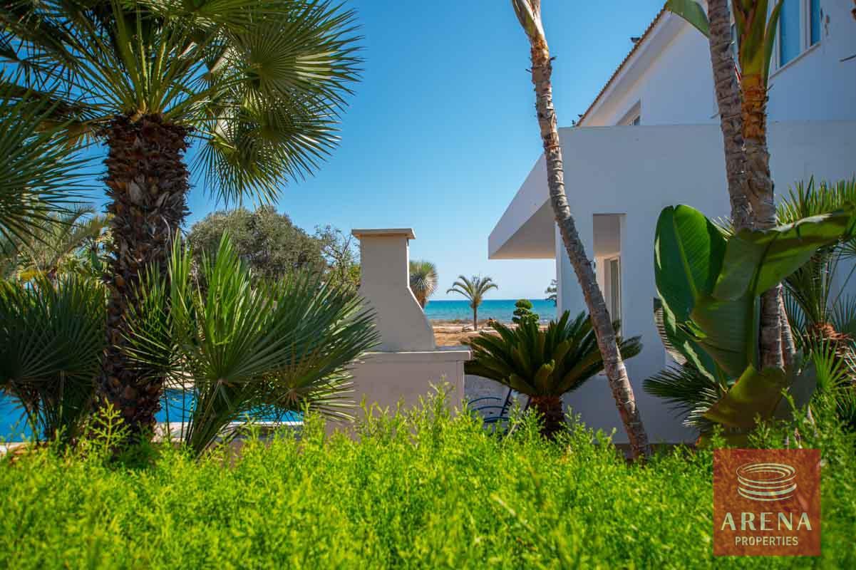 10-villa-in-ayia-thekla-5736-2