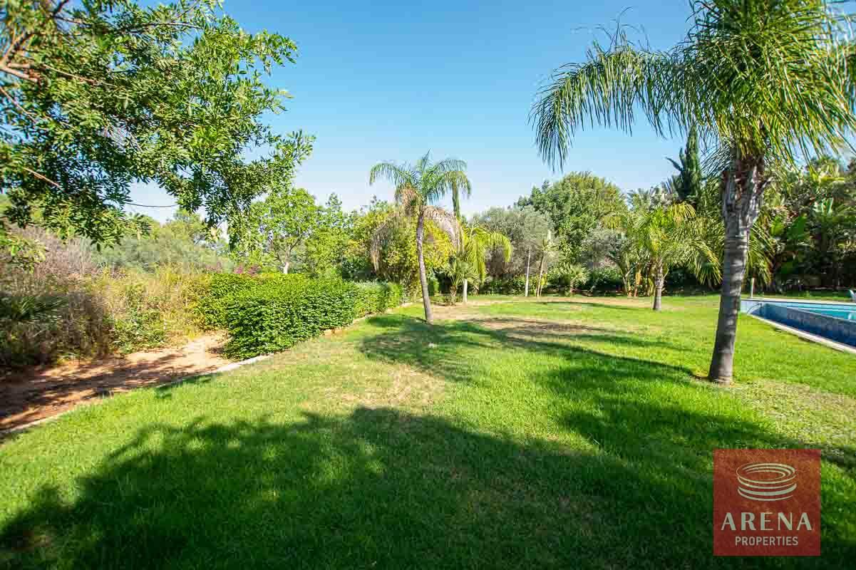 11-8-bed-villa-in-protaras-5703
