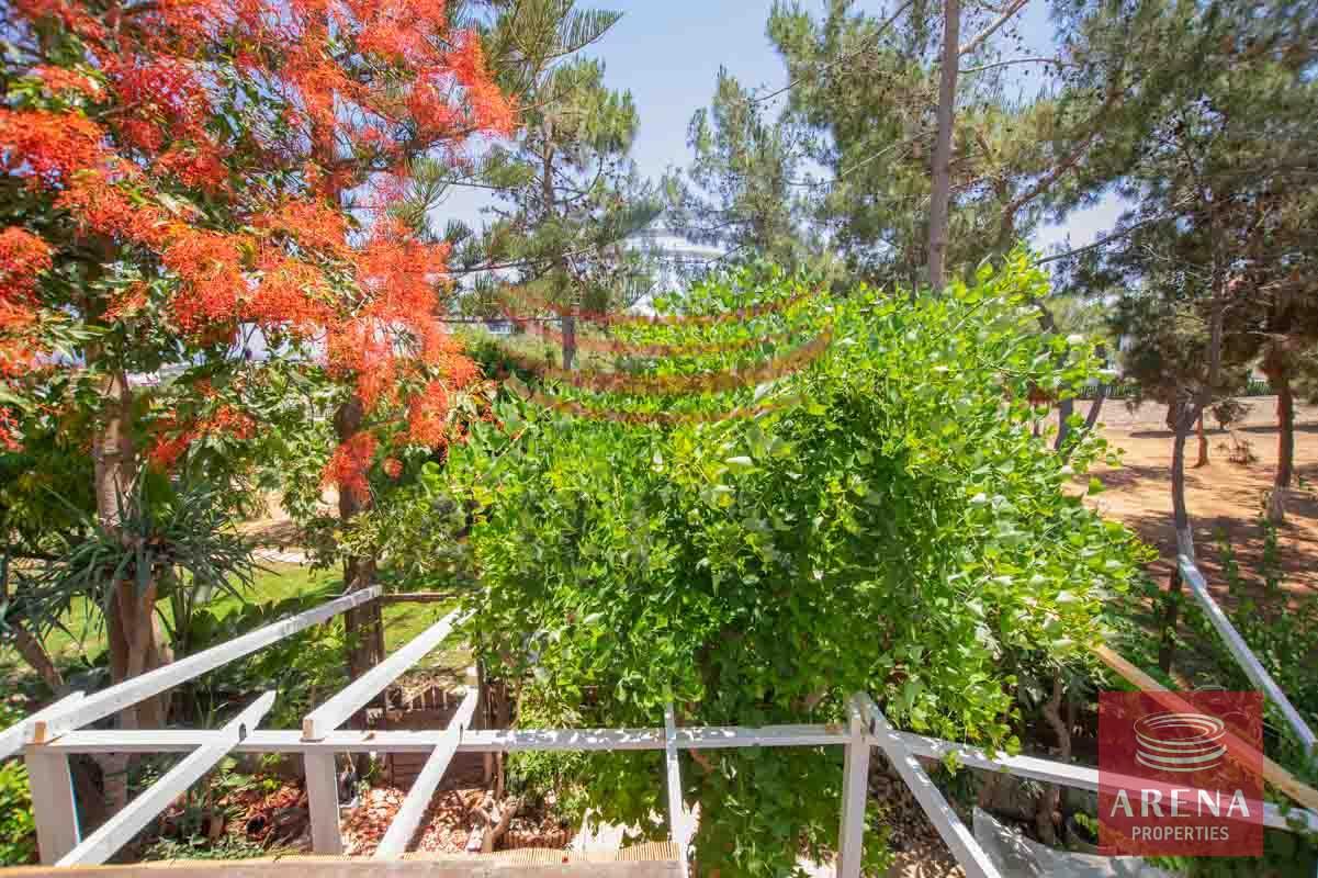 11-apartment-for-rent-in-paralimni-5686