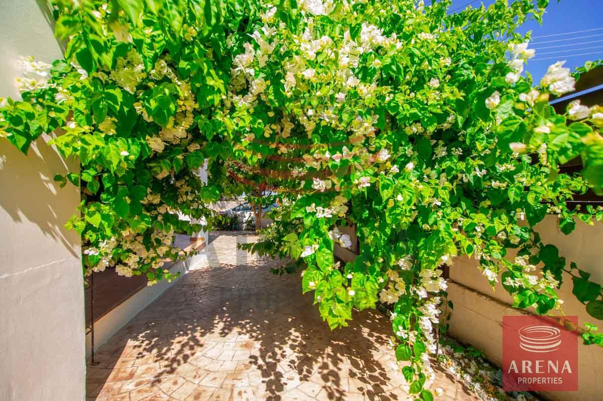 12-3-bed-villa-in-Sotira-5687