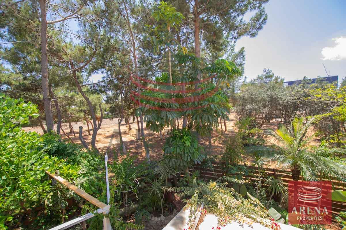 12-apartment-for-rent-in-paralimni-5686