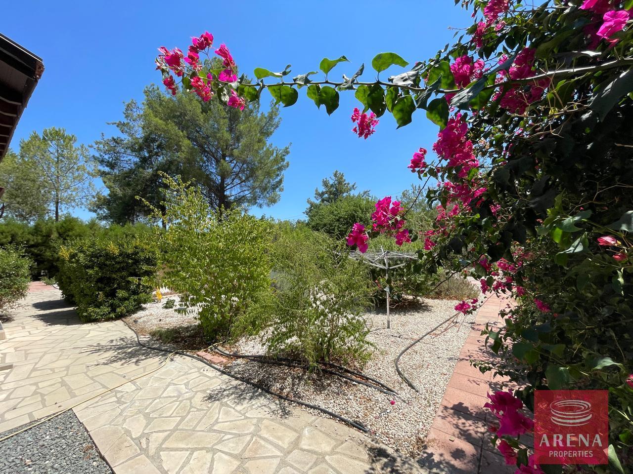 12-house-in-mosfiloti-8400