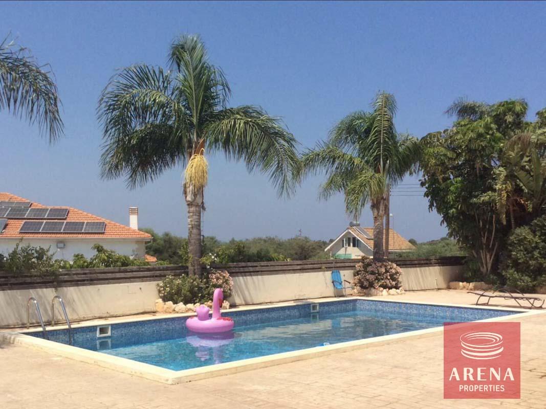 13-5-Bed-villa-in-Paralimni-5841-1