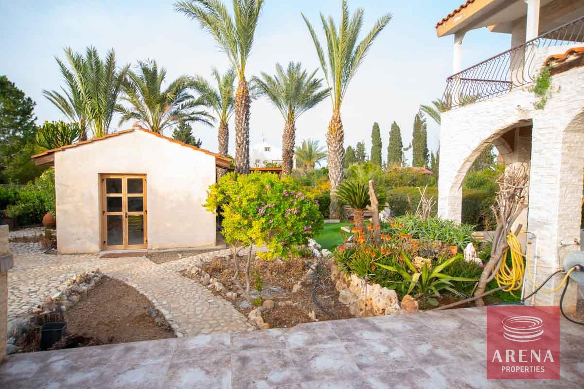 13-5-bed-villa-in-Pervolia-6045-1