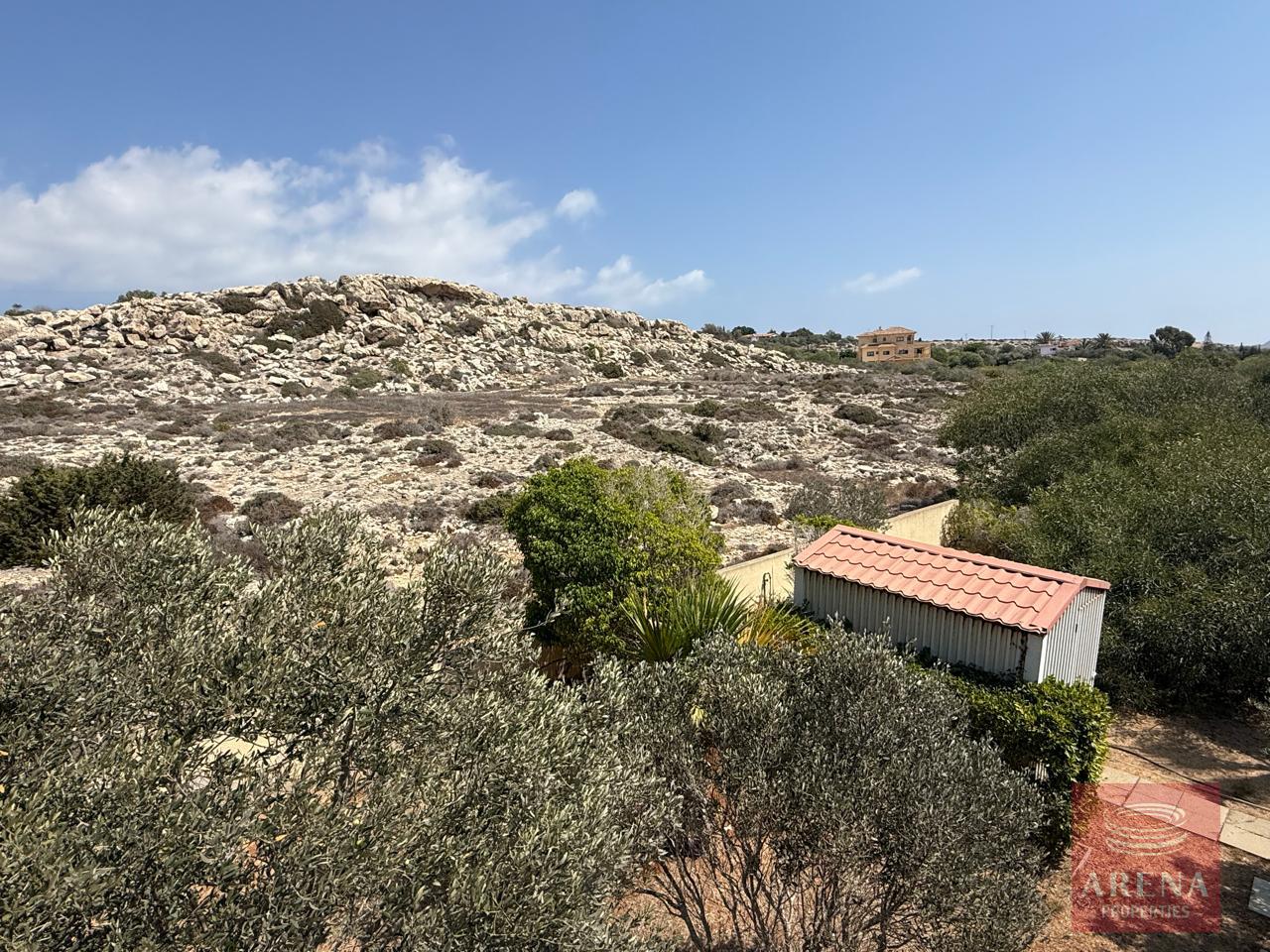 13-VILLA-AYIA-NAPA-10149-5