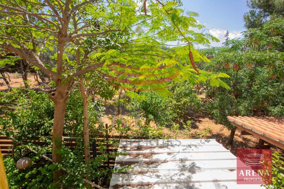 13-apartment-for-rent-in-paralimni-5686