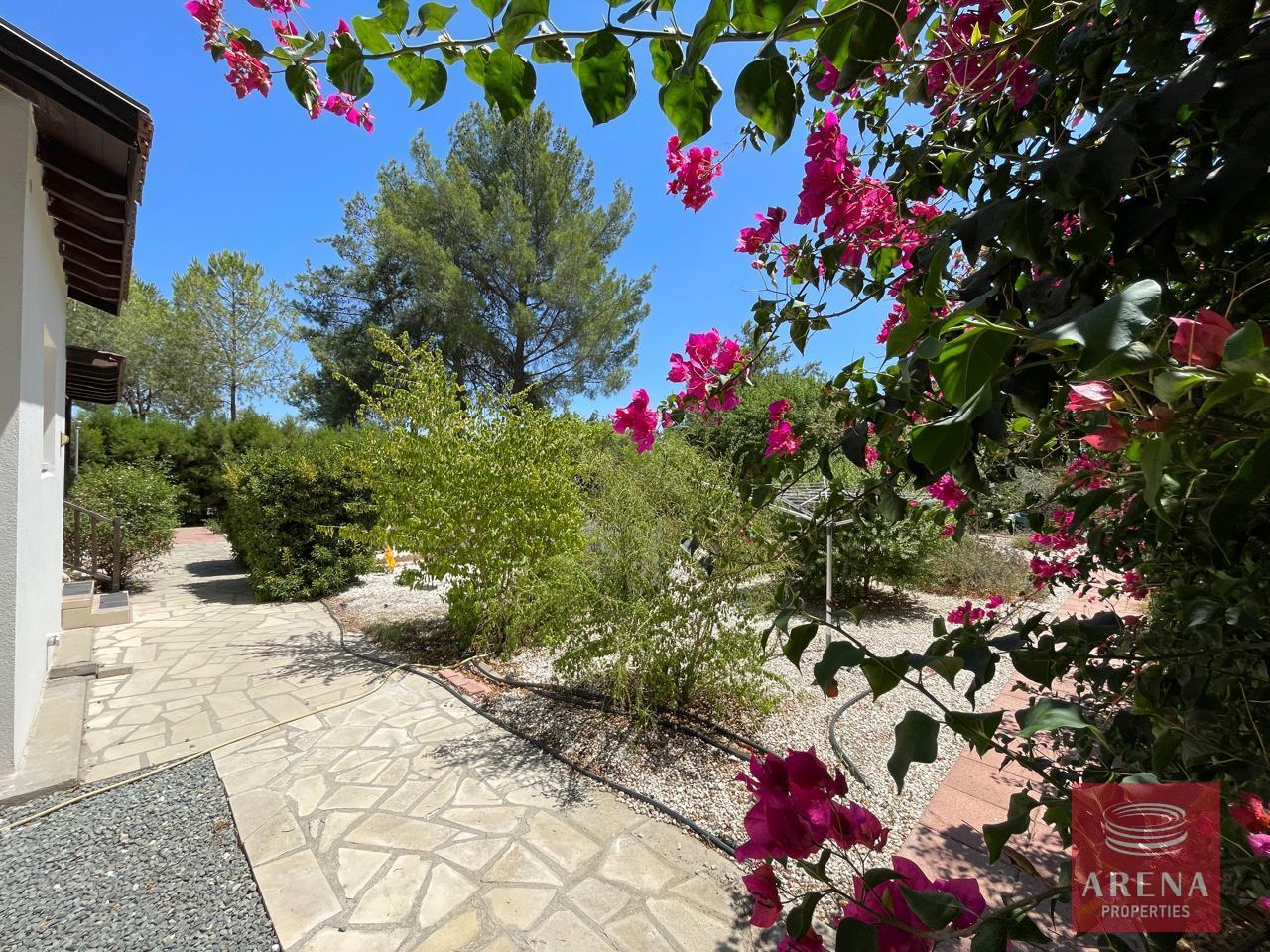 13-house-in-mosfiloti-8400