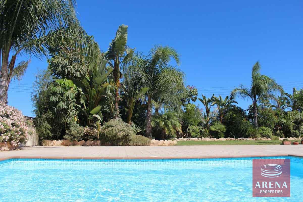 14-5-Bed-villa-in-Paralimni-5841-1