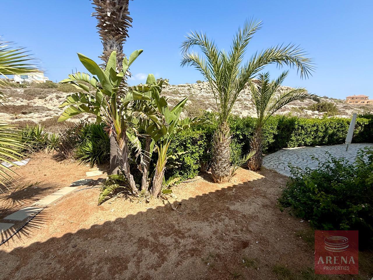 14-VILLA-AYIA-NAPA-10149-5