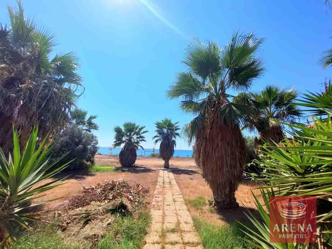 14-VILLA-IN-AYIA-NAPA-6501