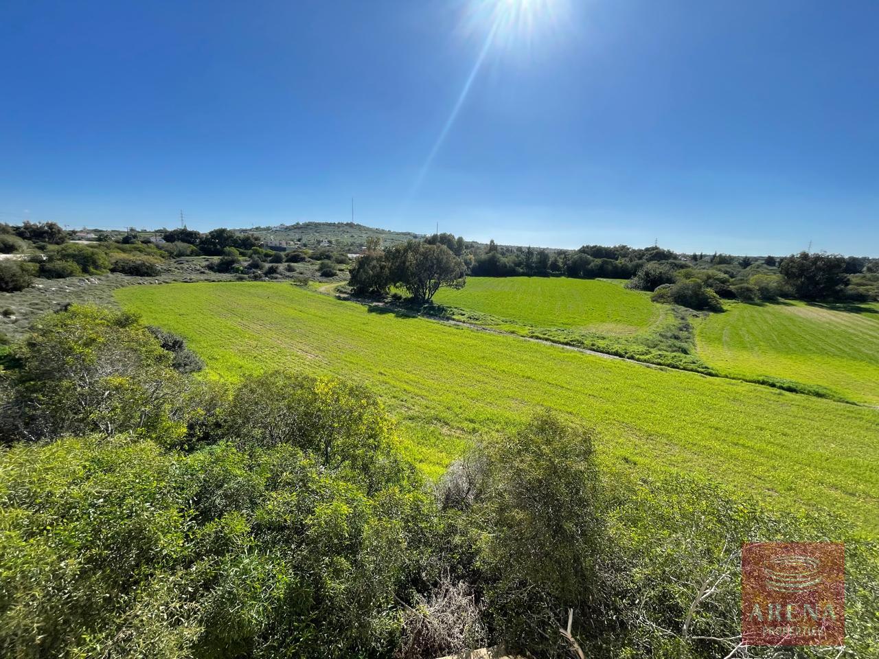 15-3-BED-VILLA-PROTARAS-9331