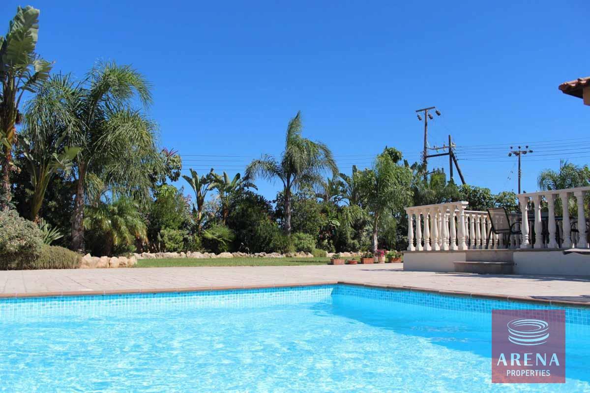 15-5-Bed-villa-in-Paralimni-5841-1