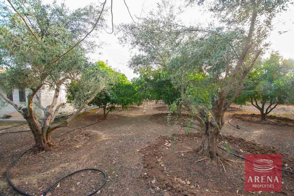 15-5-bed-villa-in-Pervolia-6045-1