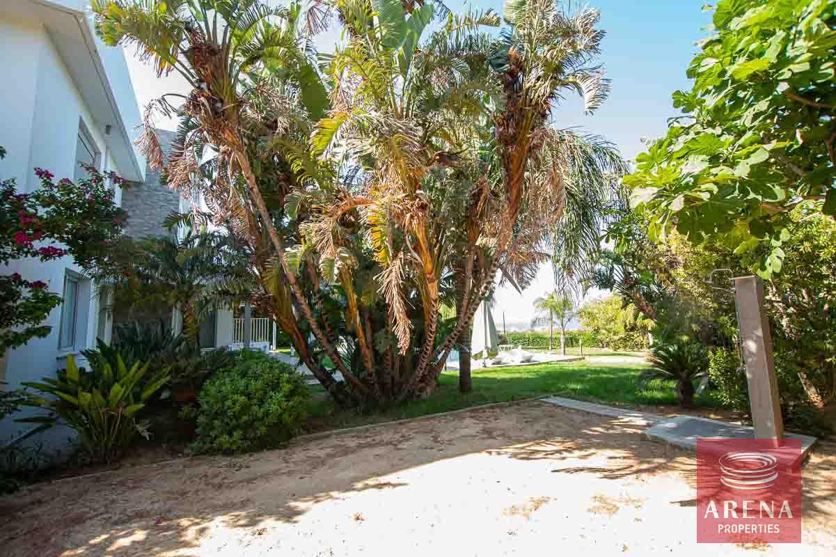 15-8-bed-villa-in-protaras-5703
