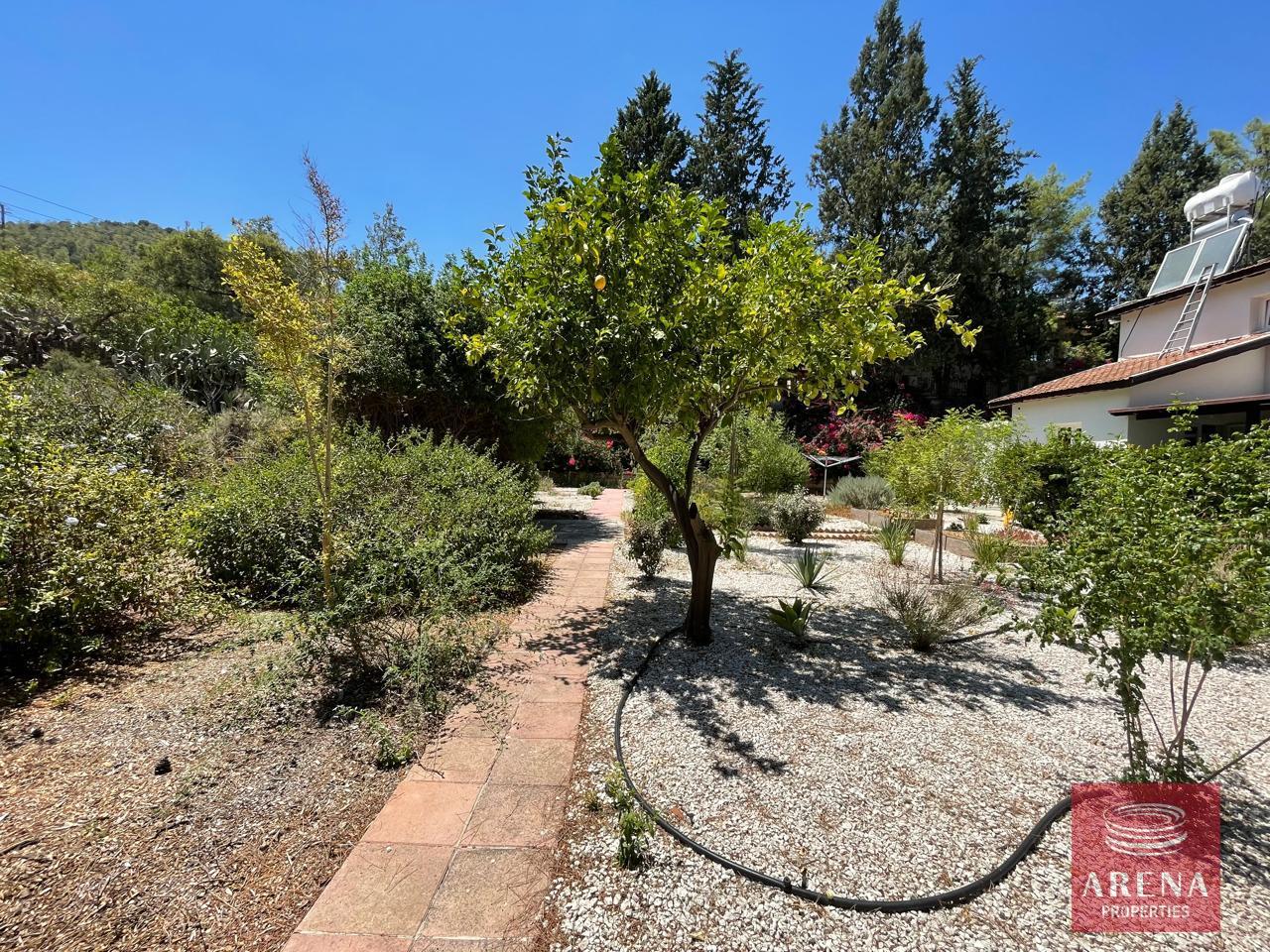 15-house-in-mosfiloti-8400