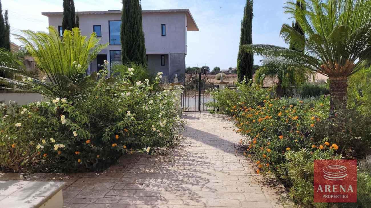 17-5-Bed-villa-in-Paralimni-5841-1
