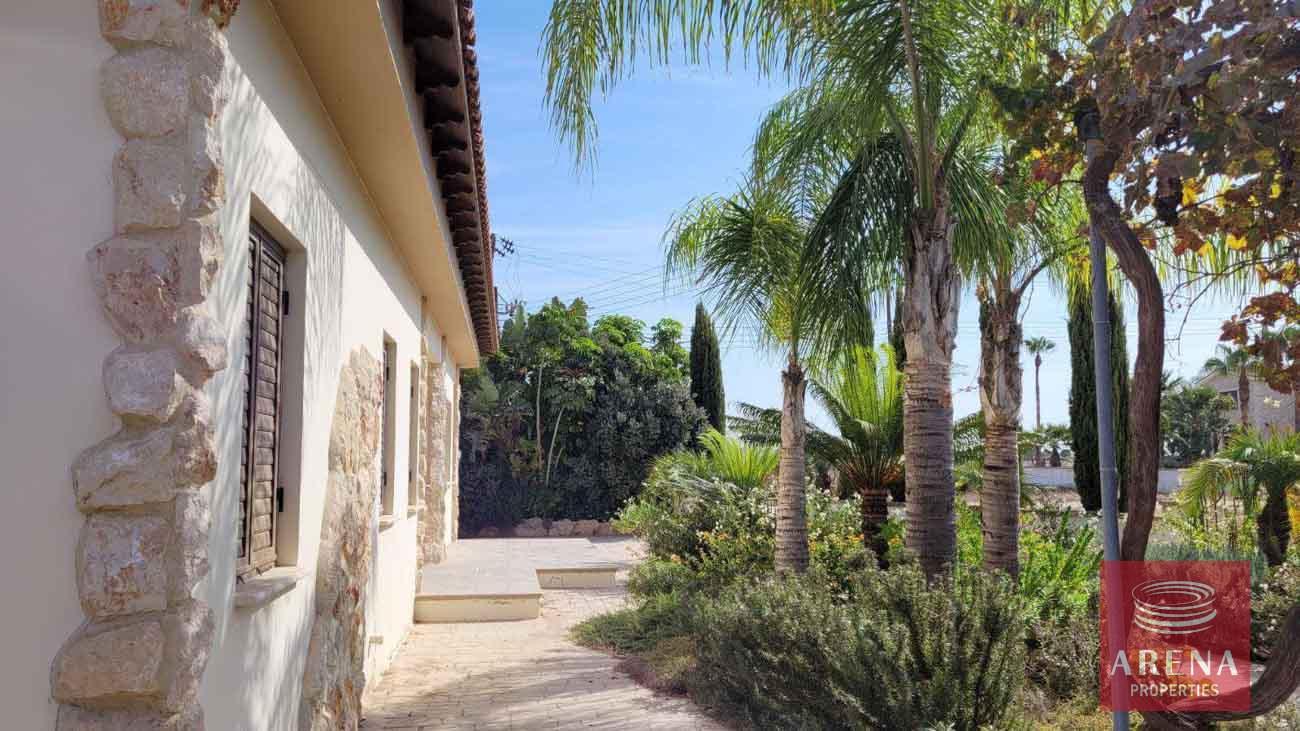 18-5-Bed-villa-in-Paralimni-5841-1