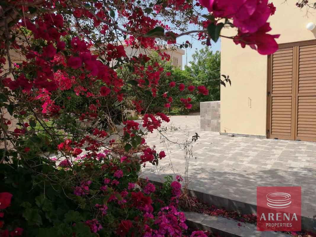2-2-bed-villa-in-ayia-thekla-5668