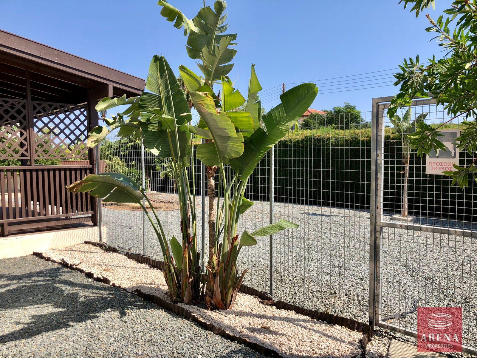 2-4-BED-VILLA-IN-PYLA-8300-1