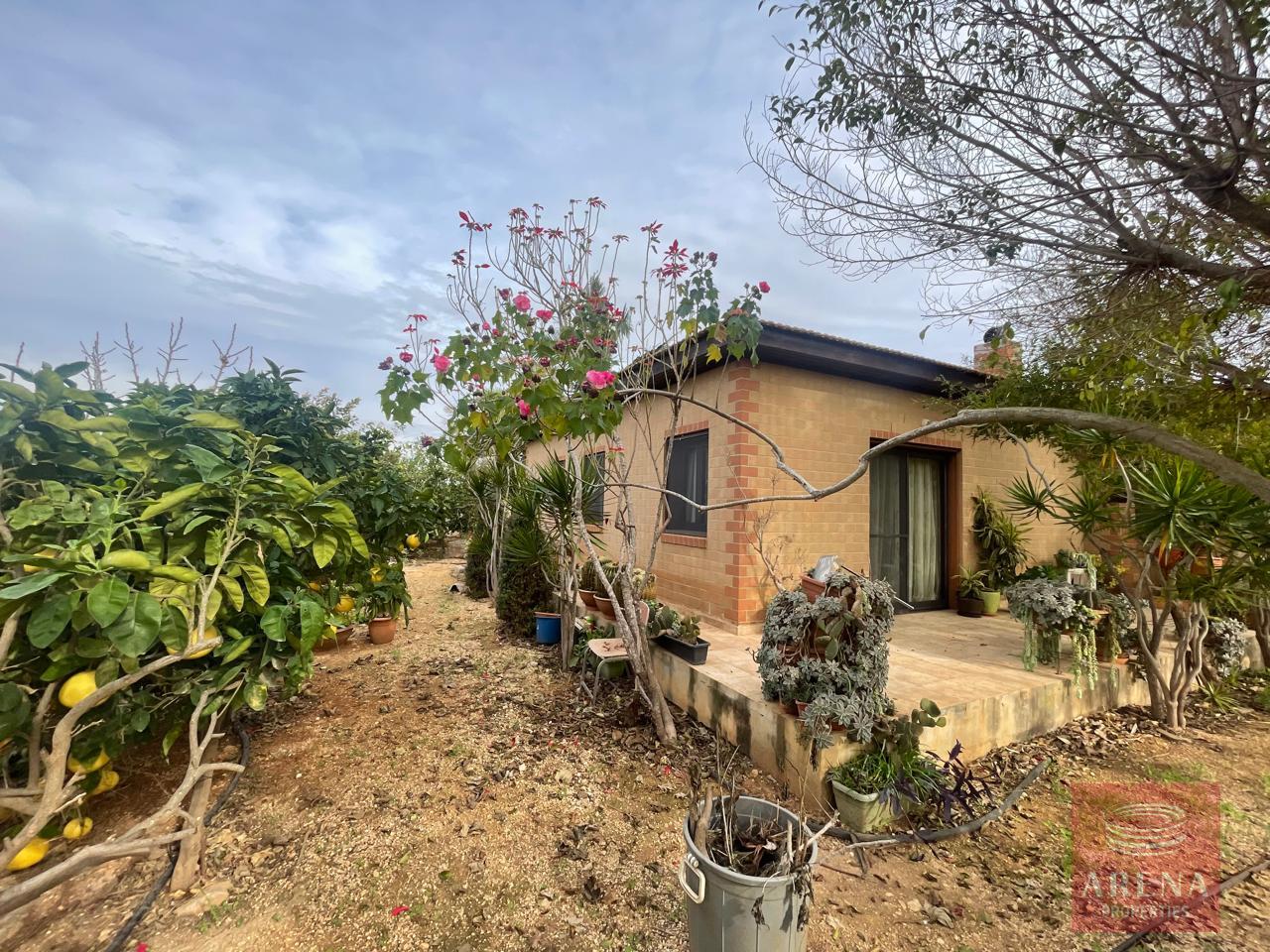 2-BUNGALOW-IN-ORMIDIA-9314