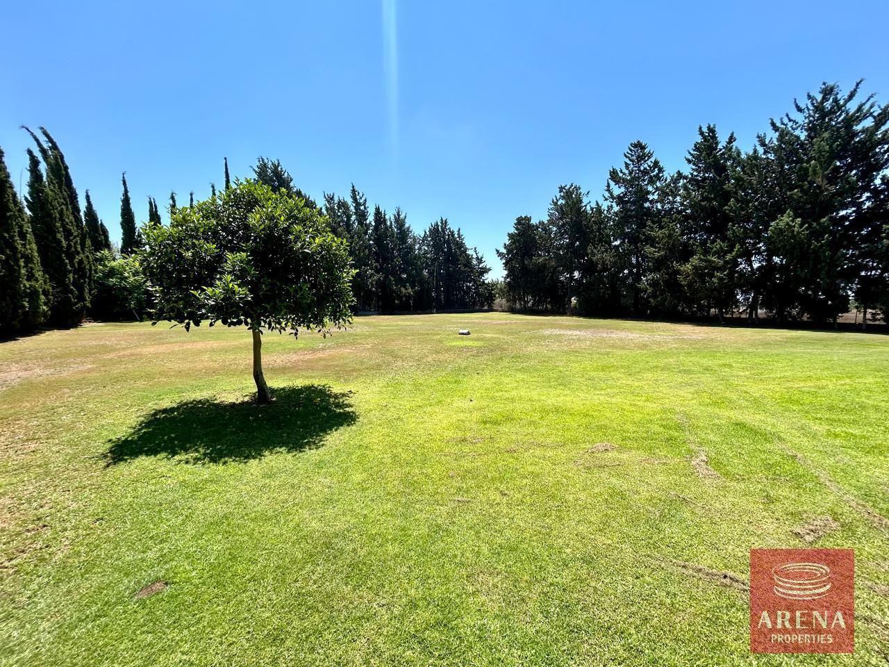 2-BUNGALOW-IN-SOFTADES-8621