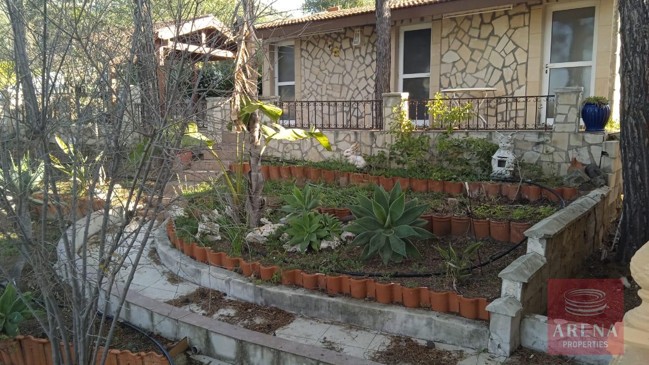 2-HOUSE-IN-LAGEIA-9326