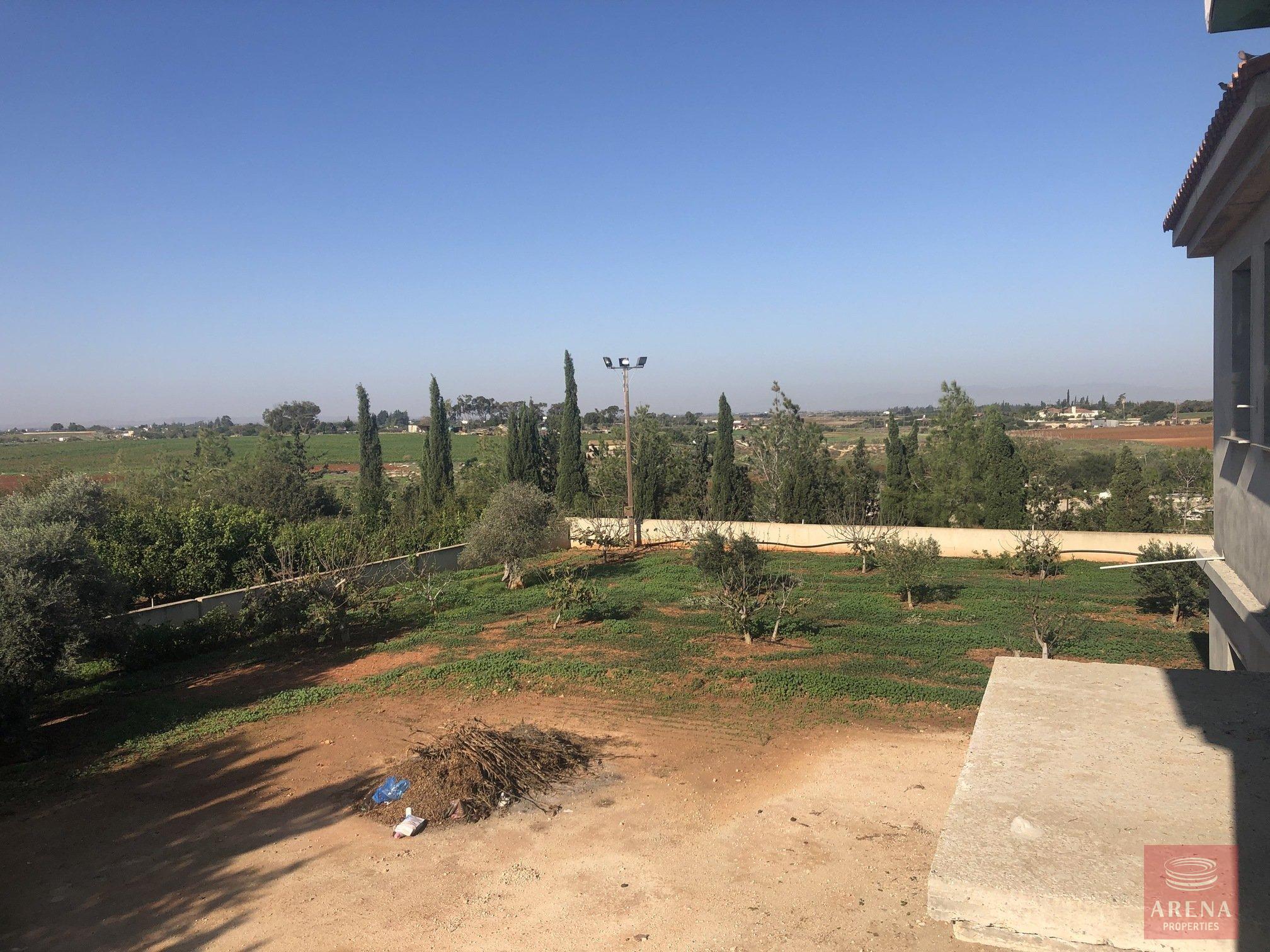 2-villa-in-frenaros-5106-3