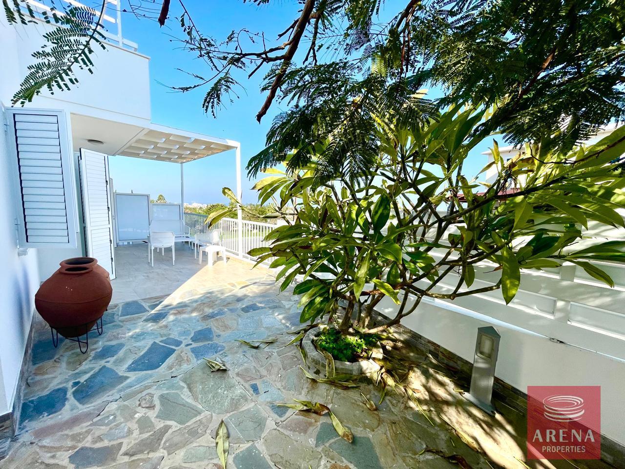 20-APT-IN-PROTARAS-9256