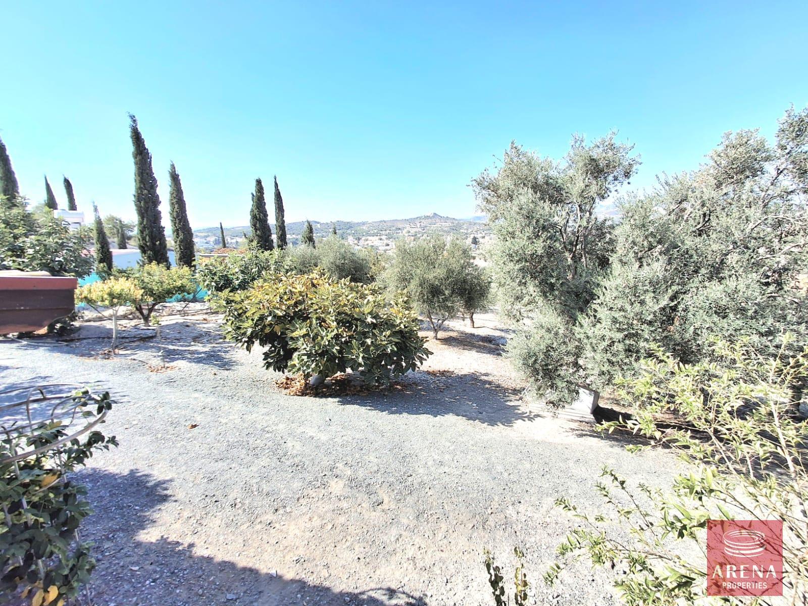 25-BUNGALOW-IN-ALETHRIKO-8835