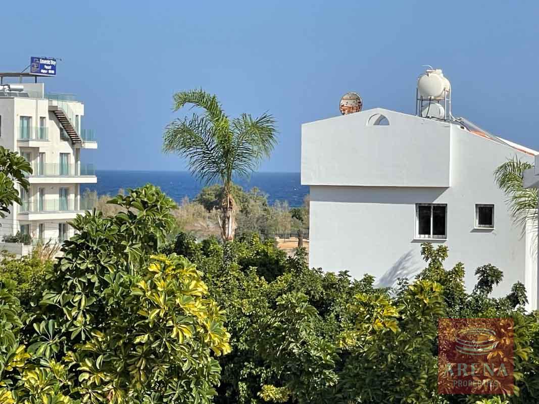 25-villa-for-rent-in-Cape-Greco-6437-1