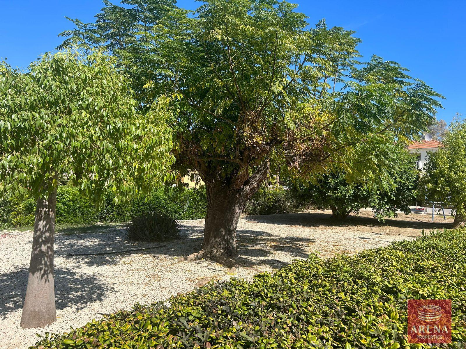 25-villa-in-pervolia-7560-1