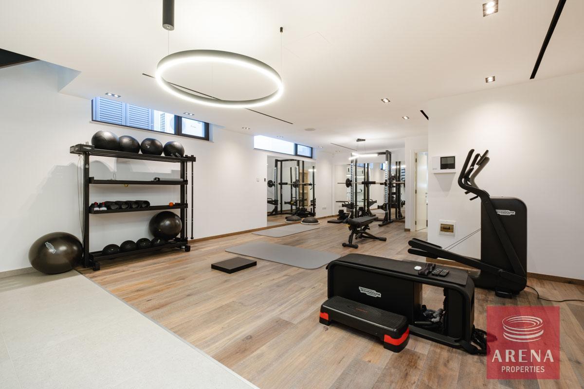 26-4-BED-VILLA-IN-AYIA-THEKLA-8950