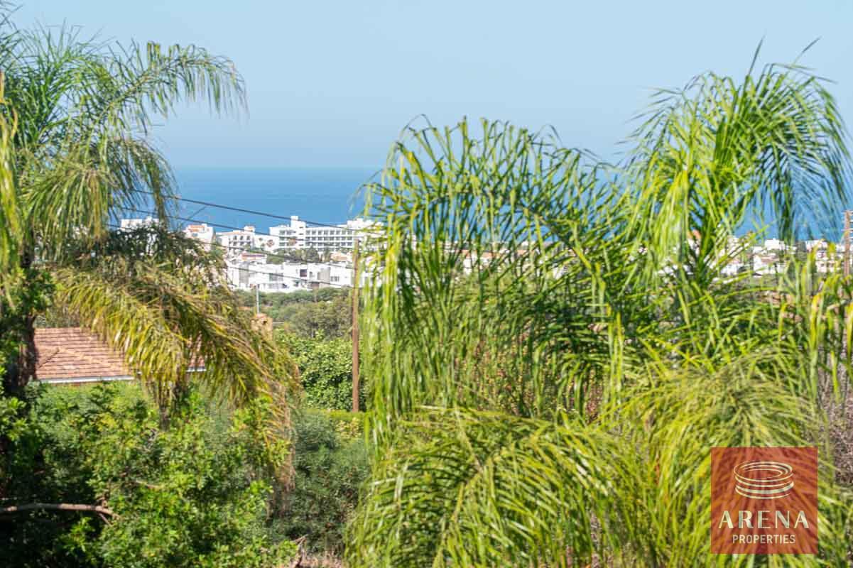 26-8-bed-villa-in-protaras-5703