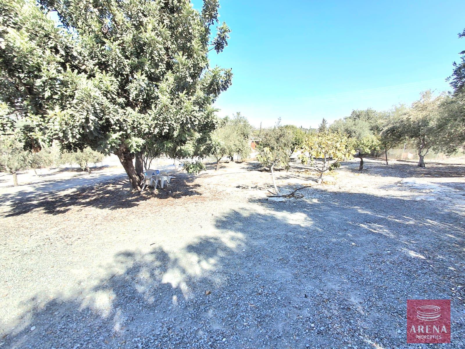 26-BUNGALOW-IN-ALETHRIKO-8835