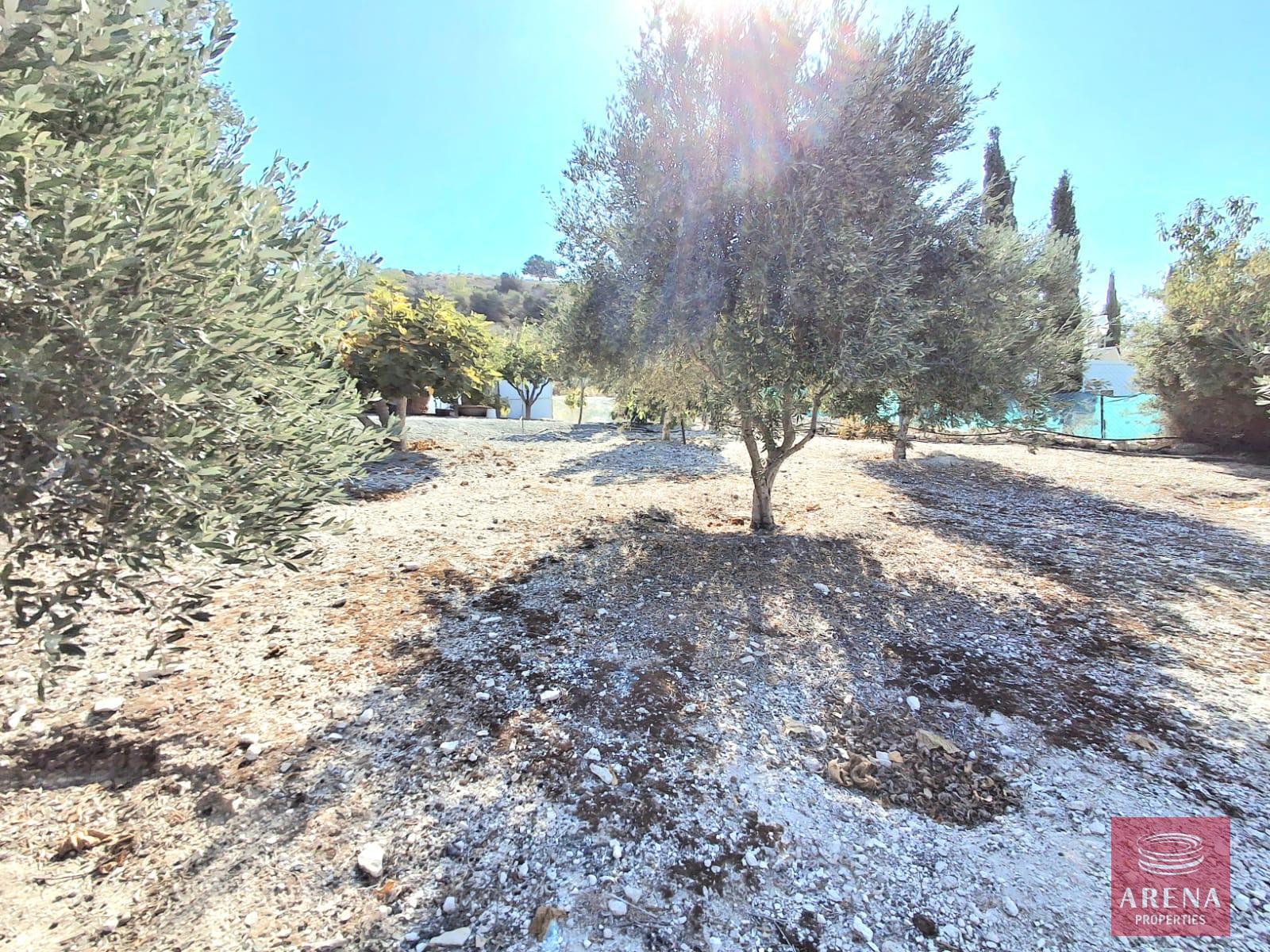 27-BUNGALOW-IN-ALETHRIKO-8835