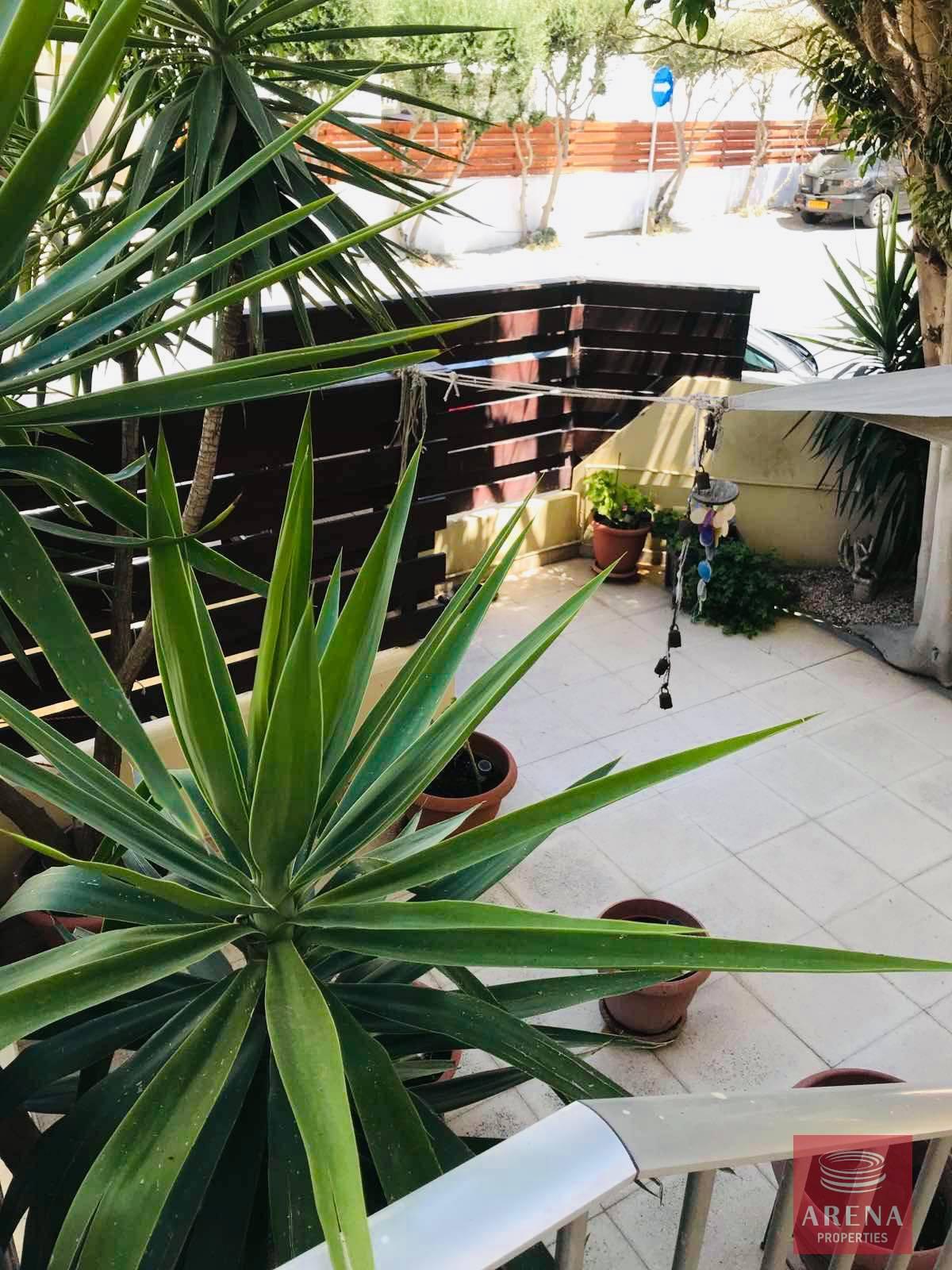 273647235_660226825315721_4599795959816753671_n-1