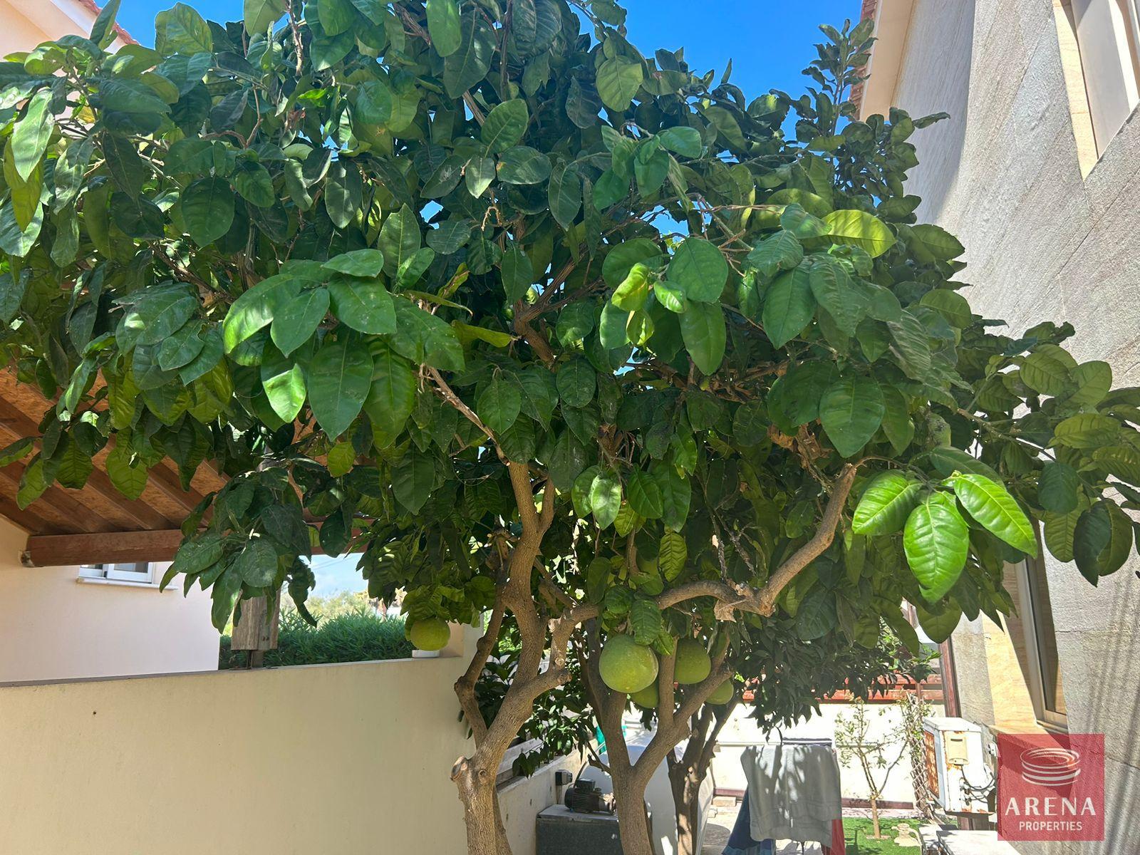 28-villa-in-pervolia-7560-1