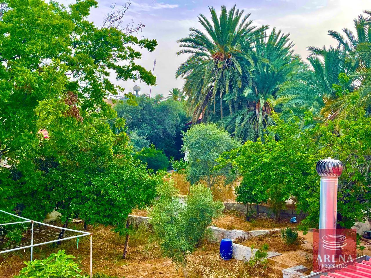 29-3-BED-TH-IN-SOTIROS-8141