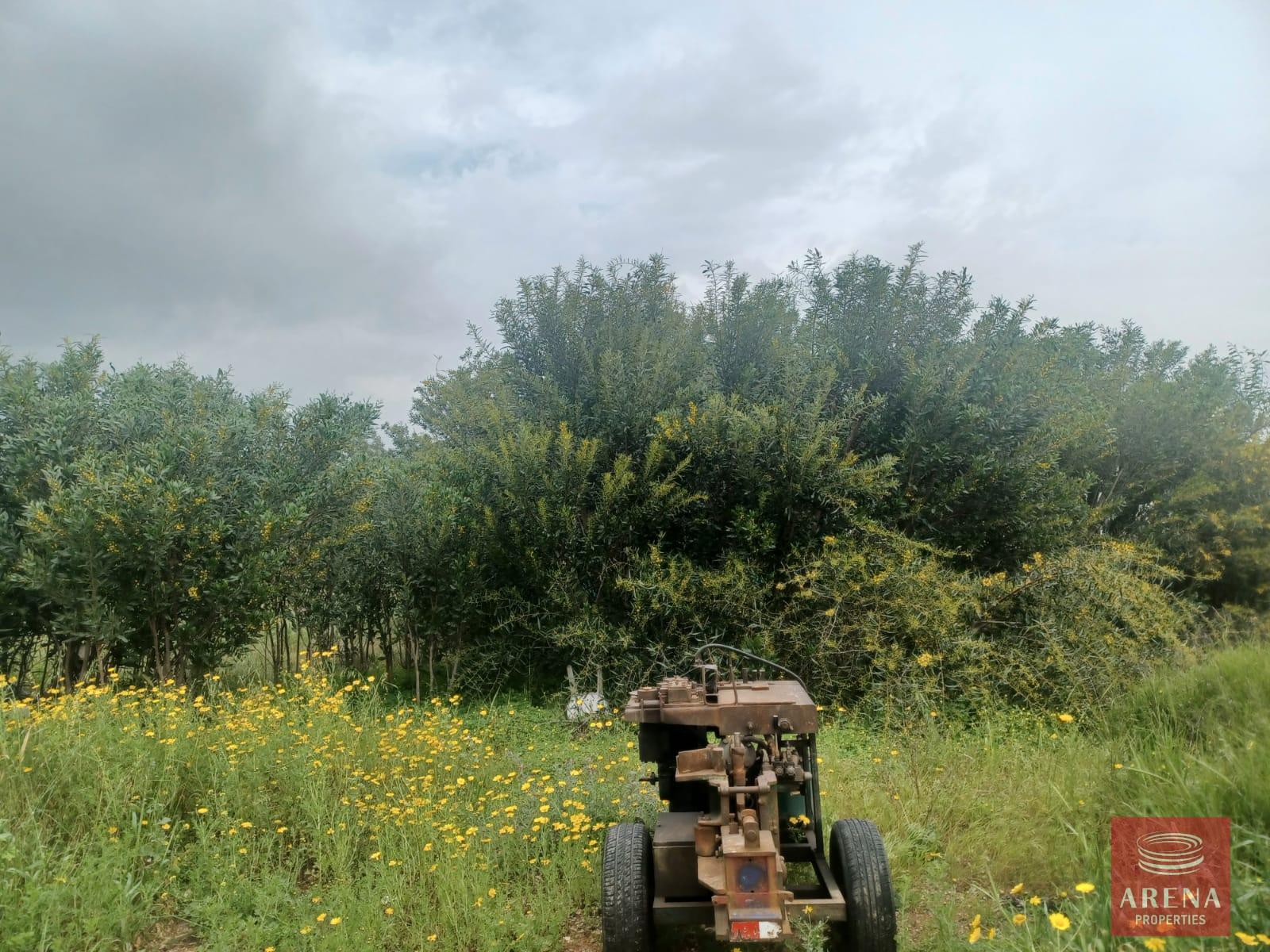 3-2-BED-BUNGALOW-IN-FRENAROS-6758-1