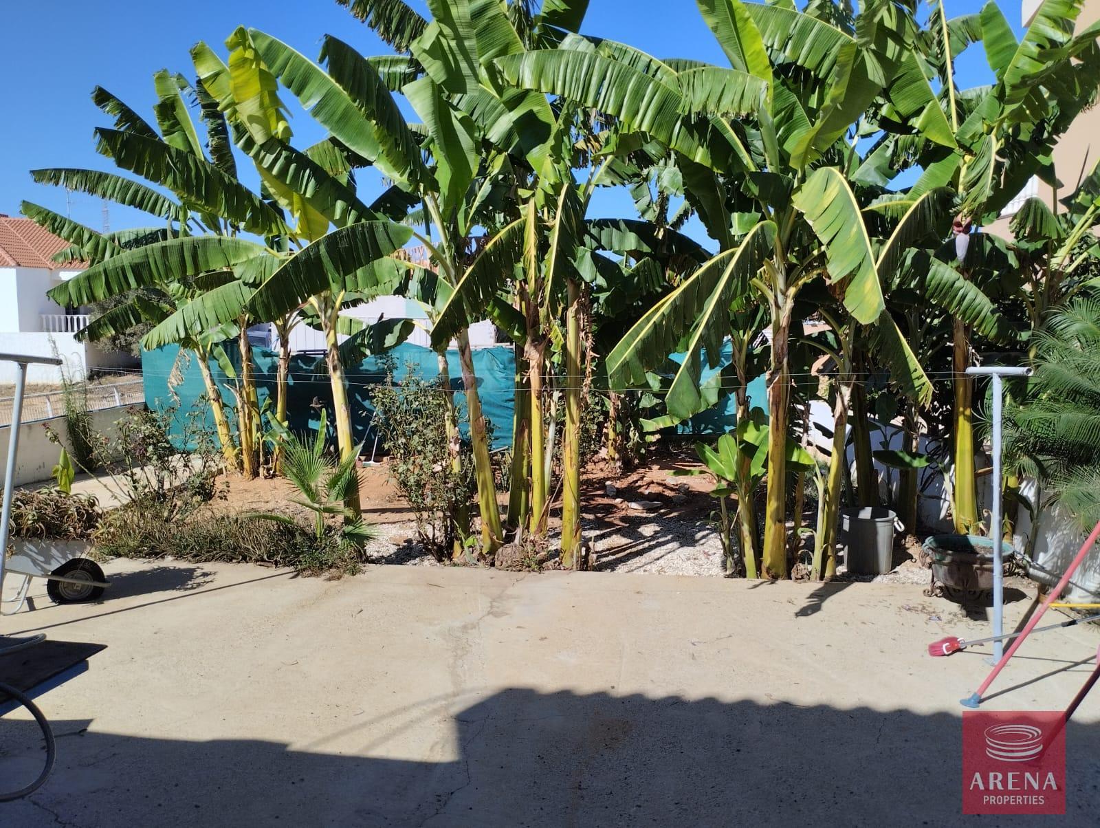 3-3-BED-HOUSE-IN-KOKKINES-7414