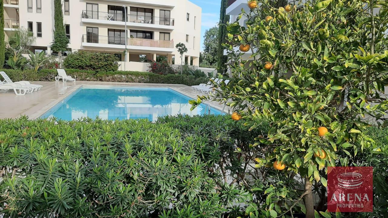 3-APT-IN-MAZOTOS-FOR-RENT-5654-1