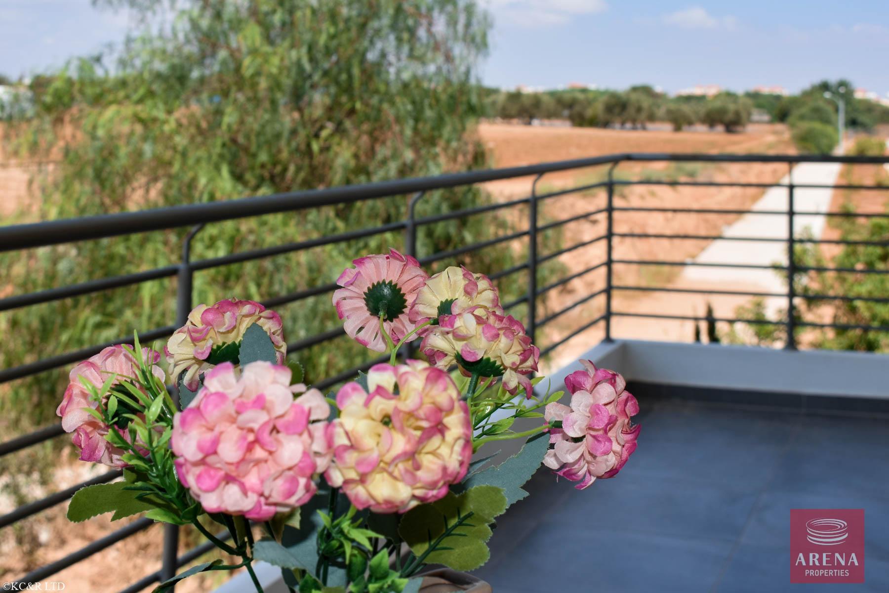 3-APT-KAPPARIS-5385-2