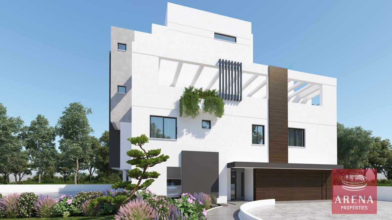 3-APTS-IN-ARADIPOOU-8735-3