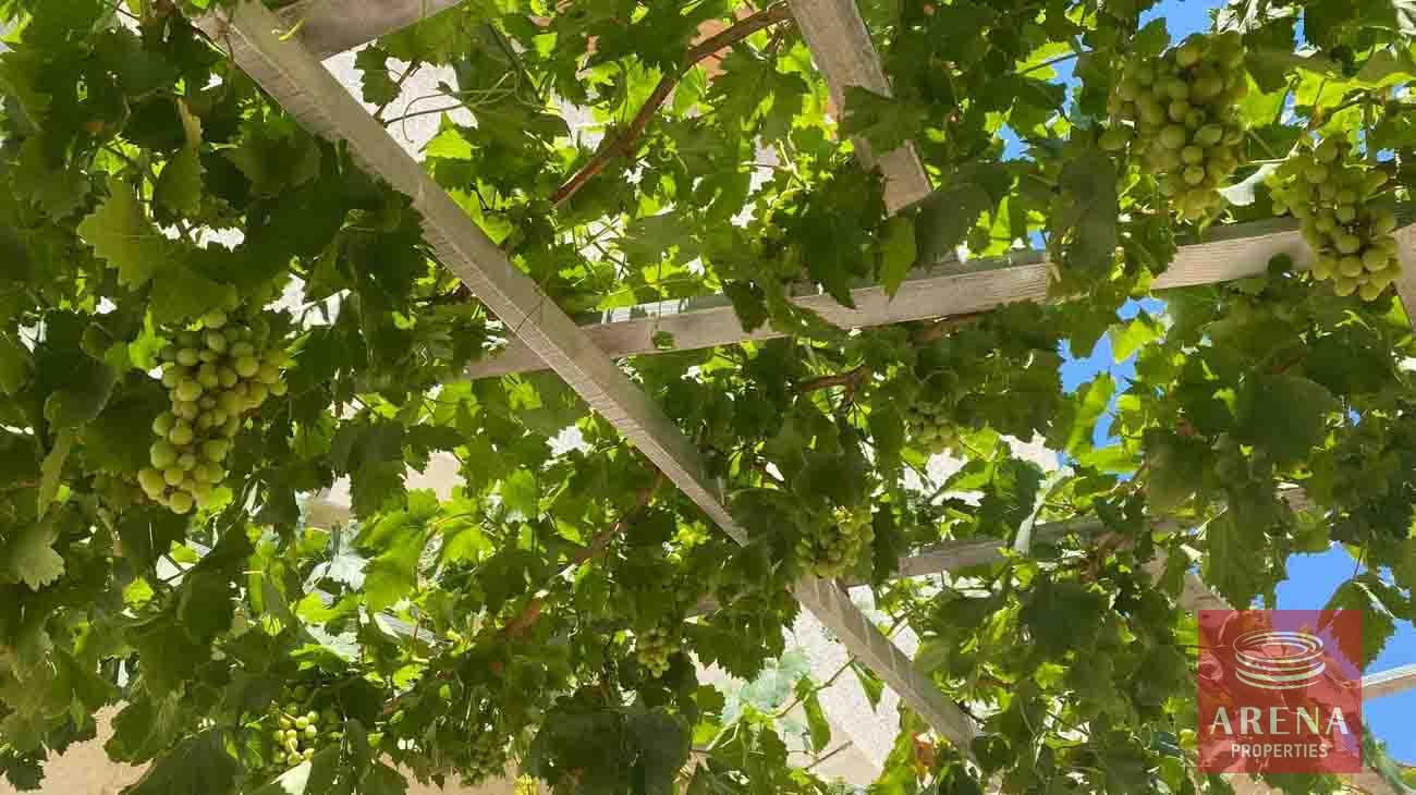 3-House-in-Liopetri-6225