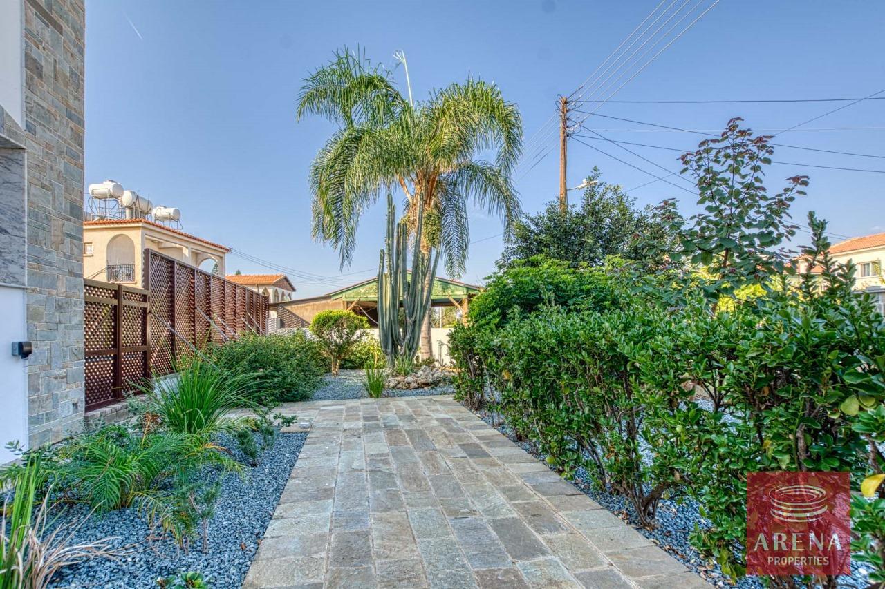 33-7-BED-VILLA-AYIA-NAPA-8418