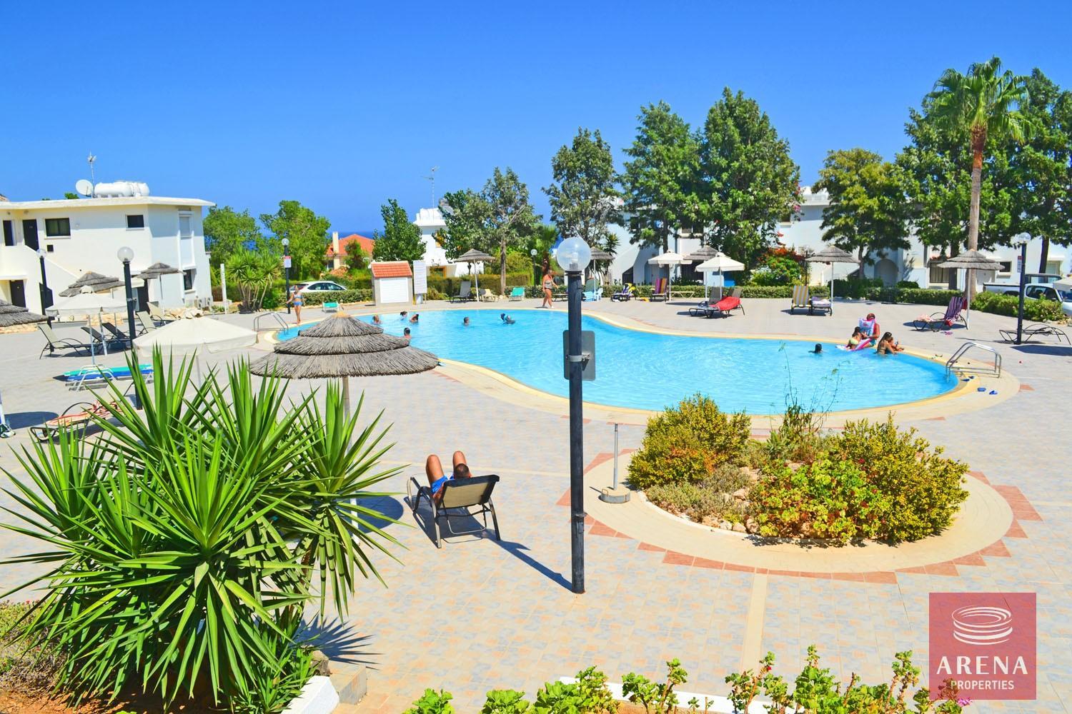 3530-communal-pool-1