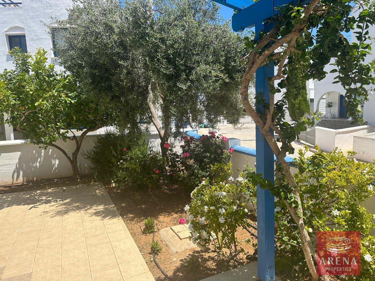 4-3-BED-VILLA-IN-AYIA-TRIADA-8083