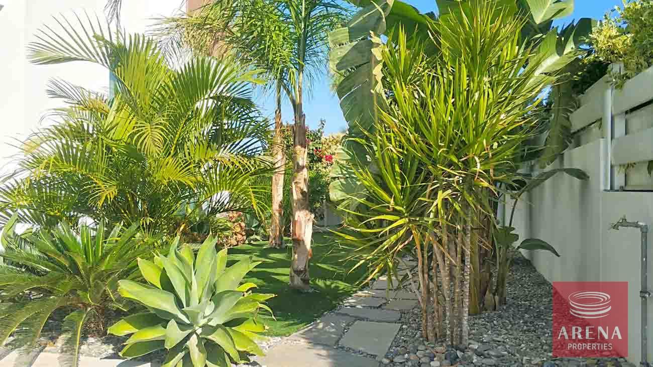 4-3-bed-luxury-villa-for-rent-5924-1